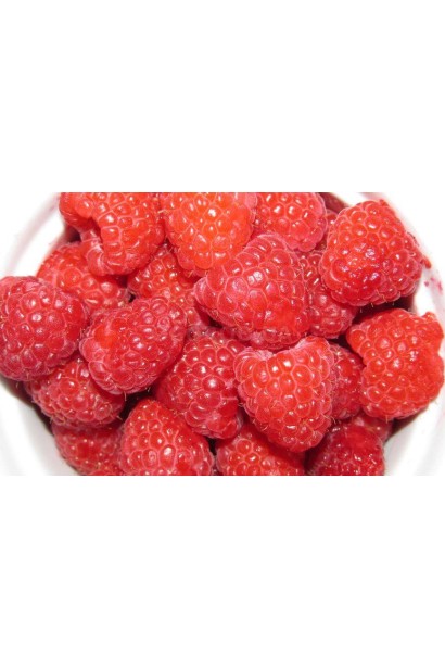 Rubus idaeus ’Diamantova’